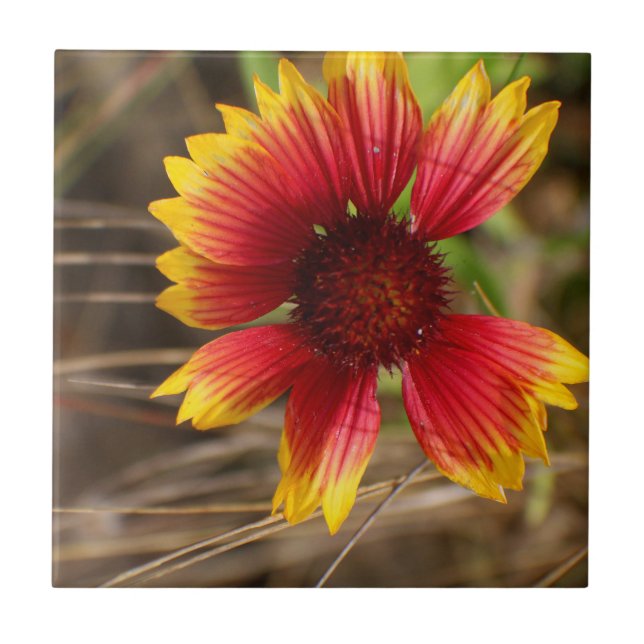 Flower in the Wind Tile (Front)