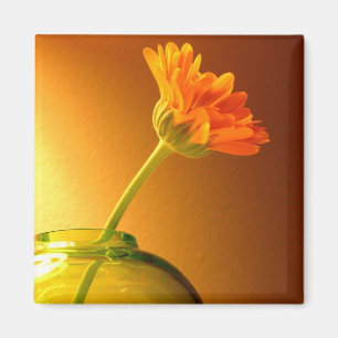 Flower in Vase Magnet