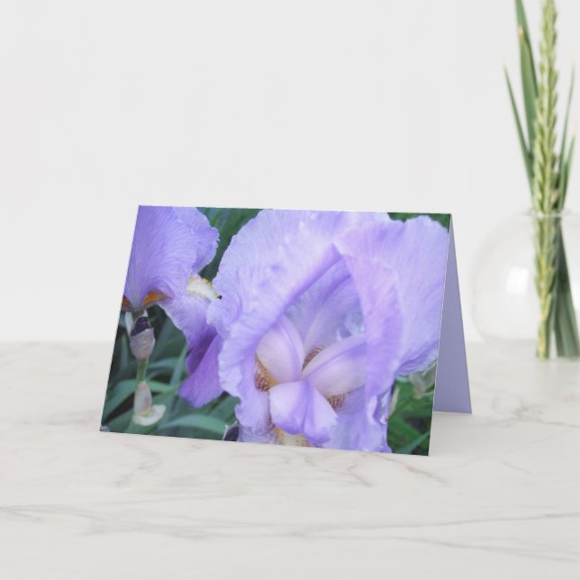 Flower - Iris Card (Front)