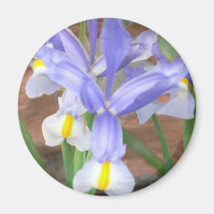 flower,iris magnet