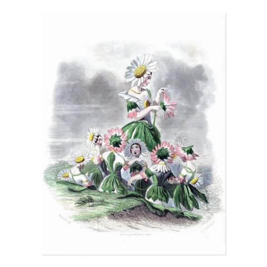 Flower Ladies Daisy Animated Flowers Grandville Postcard