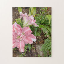 flower lily plant pink fern lily with fern