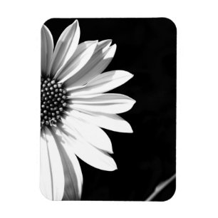 flower magnet