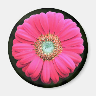Flower Magnet