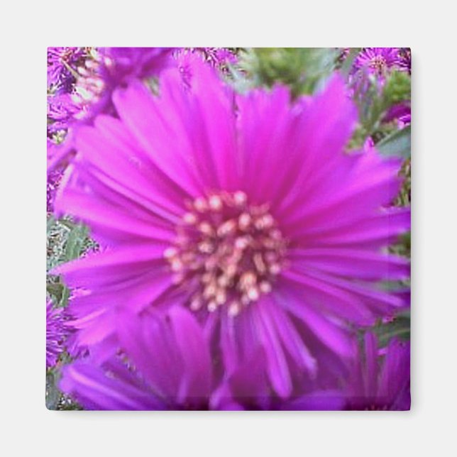 Flower magnet (Front)