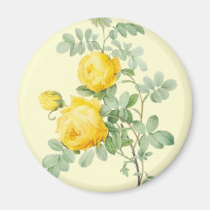 Flower Magnet