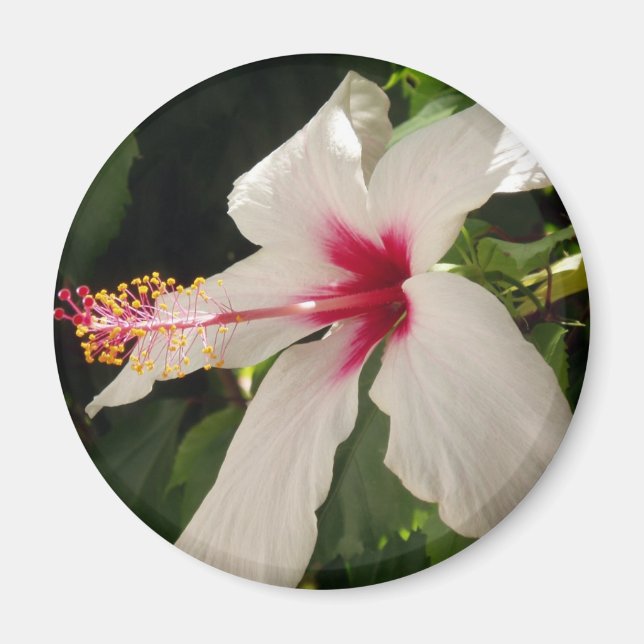 Flower Magnet (Front)