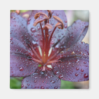 Flower Magnet 