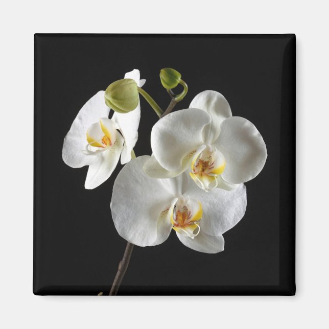 Flower Magnet (Front)