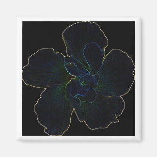 Flower Magnet