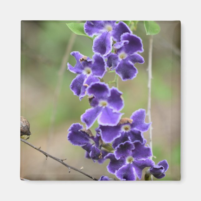 Flower Magnet purple geisha girl (Front)