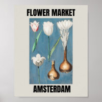 Flower Market Amsterdam Vintage Tulip  