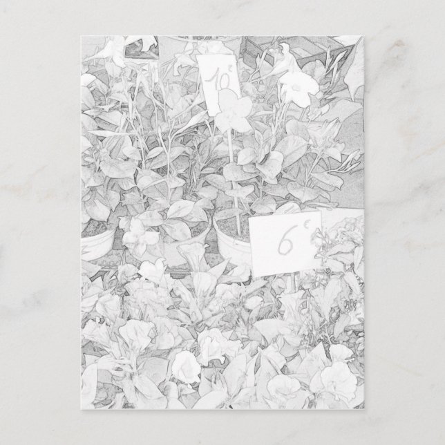 Flower Market Colouring Postcard (Front)