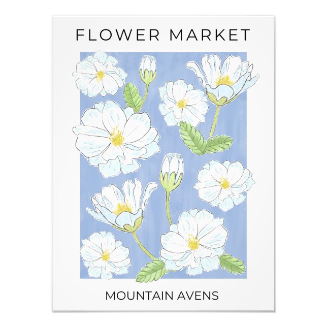 Flower Market White Alpine Mountain Aven flowers Photo Print (Front)