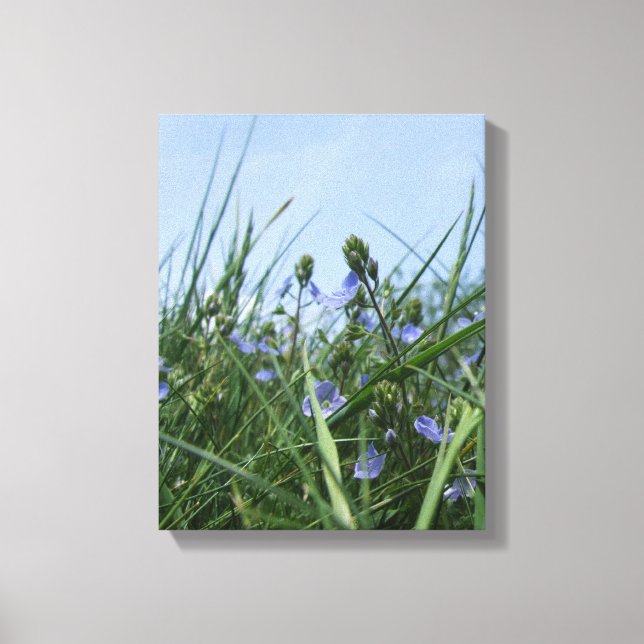 Flower Meadow Canvas Print (Front)