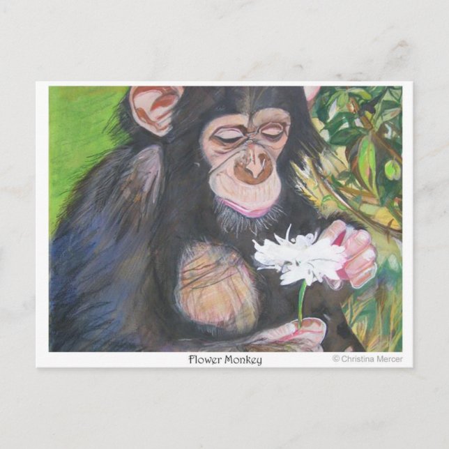 Flower monkey postcard (Front)