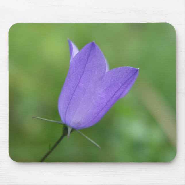 Flower Mouse Mat (Front)