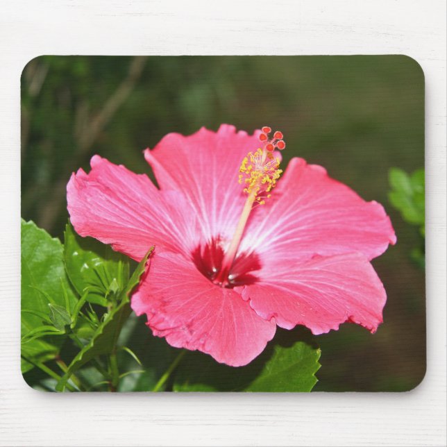 Flower Mouse Mat (Front)