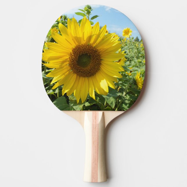 flower, nature, sunflower, summer, blossom, plant, ping pong paddle (Front)