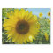 flower, nature, sunflower, summer, blossom, plant,