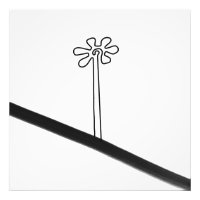 Flower Nazca Peru ancient idol geoglyph symbol Ind