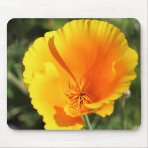 Flower of California poppy Mouse Mat