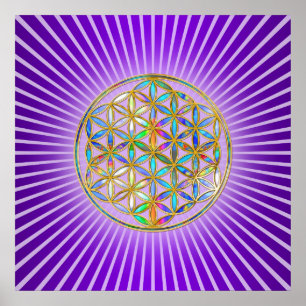 Flower of Life / Blume des Lebens - gold colorful Poster