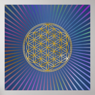 Flower of Life / Blume des Lebens - gold Poster