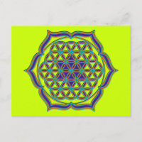 Flower Of Life / Blume des Lebens - Lotus Contour