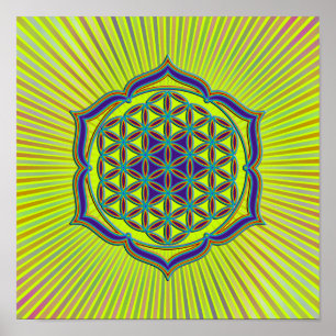 Flower Of Life / Blume des Lebens - Lotus Contour Poster