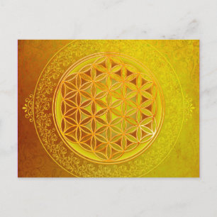 Flower Of Life / Blume des Lebens - Ornament VII Postcard