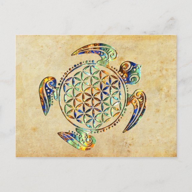Flower of Life / Blume des Lebens - turtle coloure Postcard (Front)