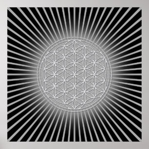 Flower Of Life / Blume des Lebens - white Poster