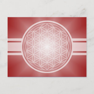 Flower of Life / Blume des Lebens - white transpa. Postcard