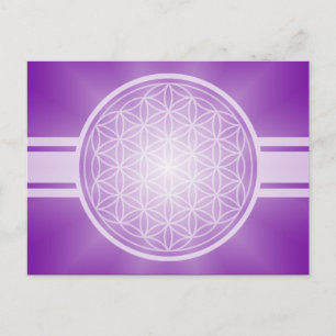 Flower of Life / Blume des Lebens - white transpa. Postcard