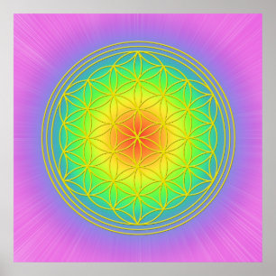 Flower of Life Chakra 1 Poster