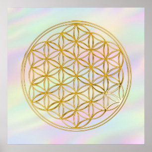 Flower Of Life gold, colored light Poster