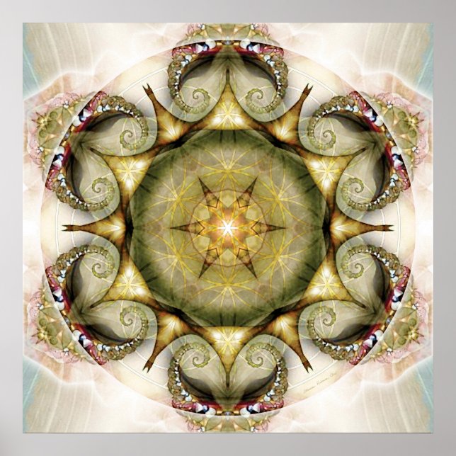 Flower of Life Mandala 19 Poster (Front)