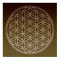 Flower of Life