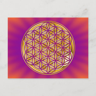 Flower Of Live / full gold Postcard