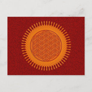 Flower Of Live / sunny design Postcard
