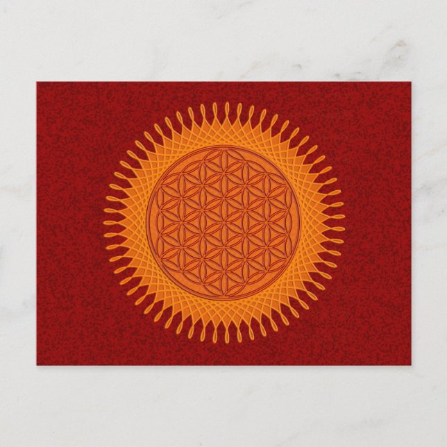 Flower Of Live / sunny design Postcard (Front)