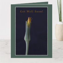 Flower Olive Green Yellow Elegant Simple Get Well