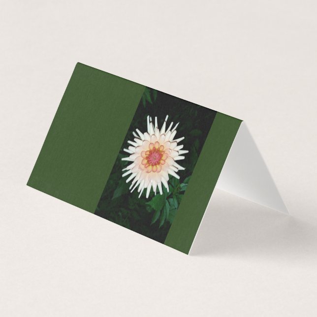 flower on a cool night (Front)