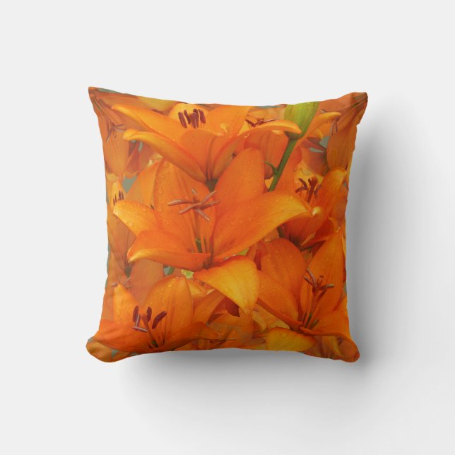Flower Orange Lily Garden Photo Raindrops Cushion (Front)