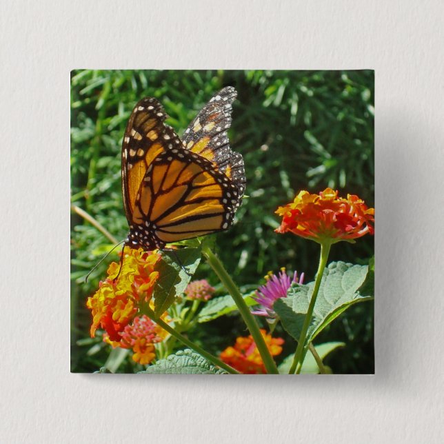 Flower Orange Monarch Butterfly Photo Nature 15 Cm Square Badge (Front)