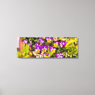Flower - Pansy - Purple Posies Canvas Print