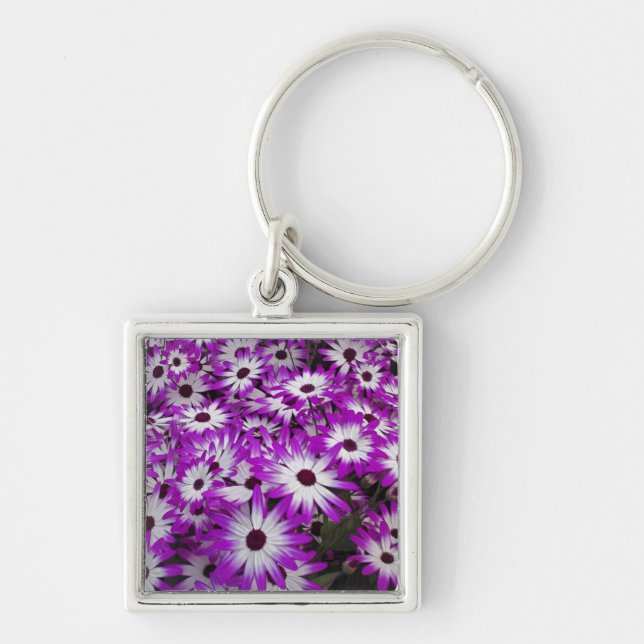 Flower pattern, Kuekenhof Gardens, Lisse, Key Ring (Front)