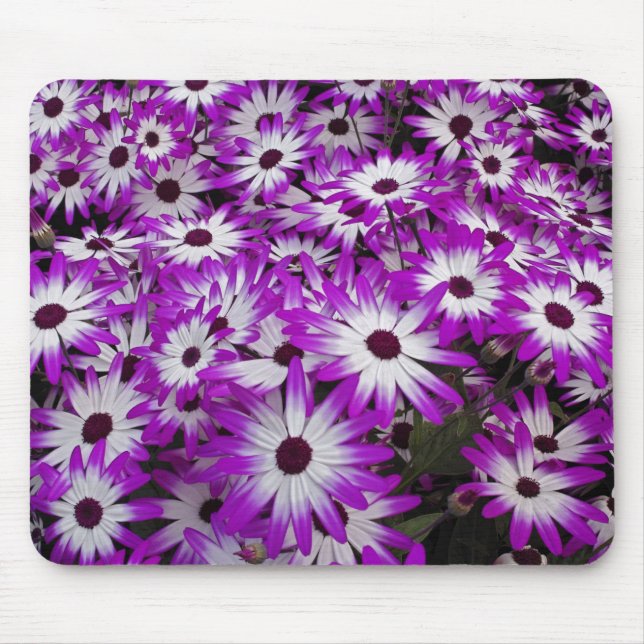 Flower pattern, Kuekenhof Gardens, Lisse, Mouse Mat (Front)