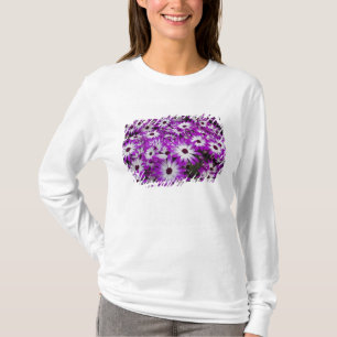 Flower pattern, Kuekenhof Gardens, Lisse, T-Shirt